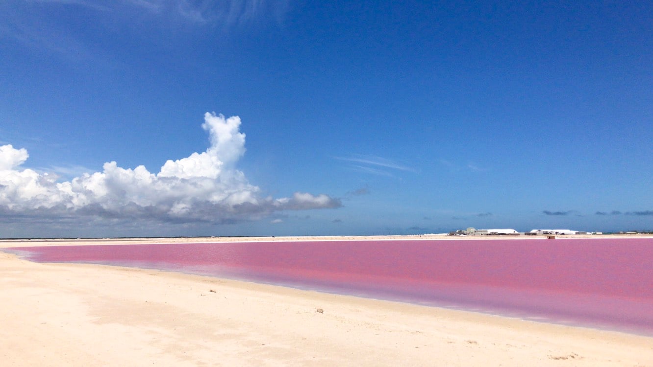 las-coloradas1